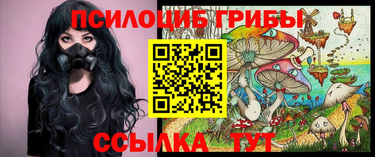 Галлюциногенные грибы мухоморы  Вход с VPN  цены наркотик  Черкесск  Галлюциногенные грибы Psilocybine cubensis 